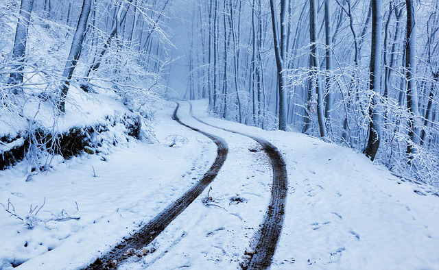 Snow covered roads in the woods